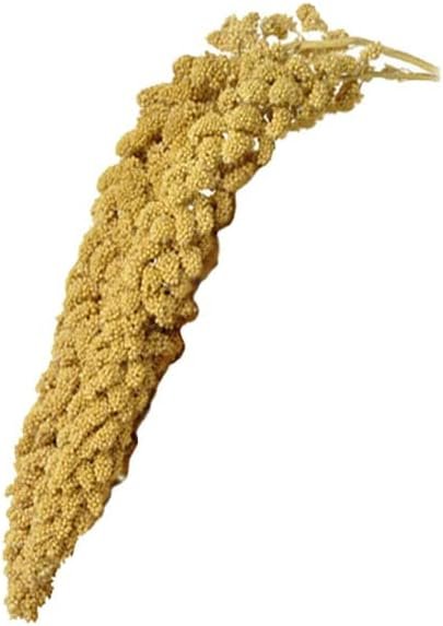 Economy & Thin Special Spray Millet-no Stems, only Edible Tops Healthy Grain Bird Treat 9oz