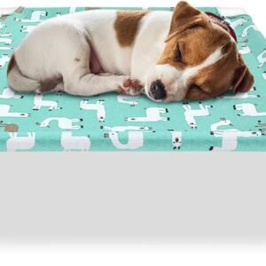 Elevated Dog Bed Pet cot for Small Dogs, Indoor and Outdoor Use for Small Pets