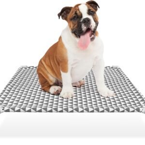Elevated Outdoor Dog Bed, Medium Size, Cotton Material, Non-Slip Feet, Fits up to 70lbs