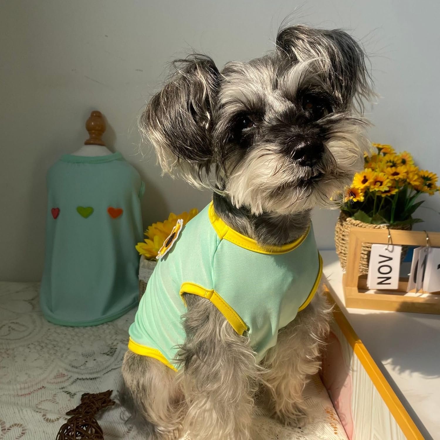 2PCS Flower Printed Summer Dog Shirts for Small Medium Pet t Shirt Girl Boy Clothes Soft Breathable - Image 2