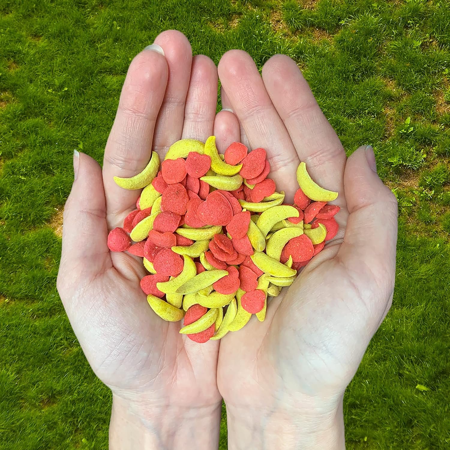 Apple and Banana (3 lb.) - Crunchy Fruit Flavored Treat Bites - Sugar Gliders, Squirrels, Marmosets, Prairie Dogs, Hamsters, Chinchillas, Exotic Birds, Rabbits, Guinea Pigs, Degus, Small Pets - Image 2